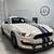 2019 Ford Mustang Shelby GT350R 1 thumbnail