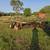 John Deere 220 Folding Tandem Disc 9 thumbnail