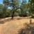30 Acres Beautiful valley view 20 thumbnail