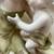 Antique large Royal dux art noveau lady and child 1900s planter 7 thumbnail