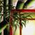 【STUDIO 【STUDIO MOVING SALE】 Artist Original Oil Painting - Huge Disco 7 thumbnail