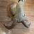 Taxidermy Ram 5 thumbnail
