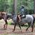 Kid safe mare 6 thumbnail