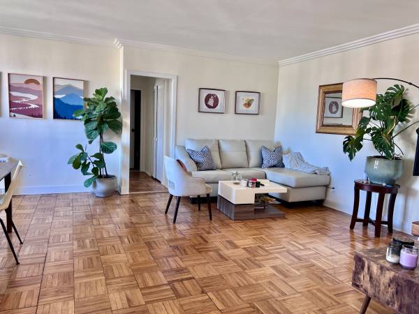 Beautiful Bright Apartment 1