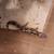 Geckos 10 thumbnail