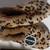 Snoozies Leopard-print Plush Slippers *BRAND NEW* 1 thumbnail