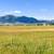 Over 20 Acres for Sale! 16 thumbnail