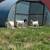 Boer Goats: Bucklings 6 thumbnail
