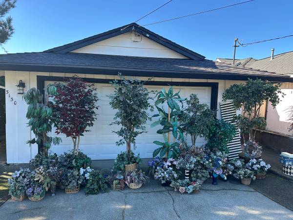 FREE Artificial Indoor Trees, Flowers, Decorative Boxes 1