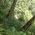 23 acre paradise for sale 13 thumbnail