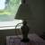 Seashell lamp 1 thumbnail