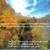 Live in this Beautiful Private 3 Bdrm Tree House Dec 2026 - Feb 2027 19 thumbnail