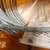 LAPP GROU[P OLFLEX controls cable 5 thumbnail