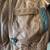 Vintage Leather Jacket 3 thumbnail