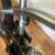 2002 Haro Backtrail X2 Bmx Bike 9 thumbnail