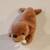 Beanie Babies - Rare and Retired 3 14 thumbnail
