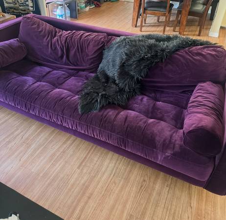 Purple Velvet Couch 1