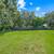 home set on a spacious 0.40-acre lot 4 thumbnail