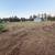 Land Clearing 10 thumbnail