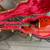 Gibson Les Paul Special 1 thumbnail