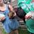 Laying Hens 5 thumbnail