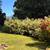 Private, quiet, 2 br 2 bath 14 thumbnail