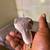 Cockatiel 2 thumbnail