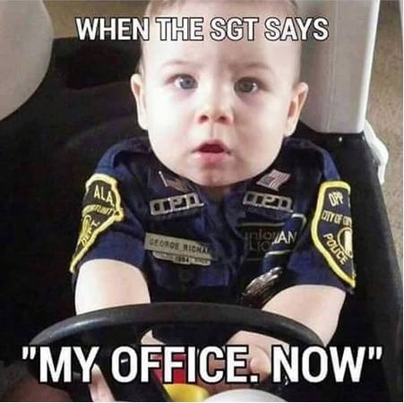 Your Next Mission: Entrepreneur Program Advisor 1