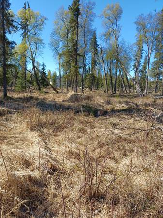 $185,000 / 362855ft2 - Listing #25-511 ATTENTION ALL PILOTS, AIRPARK OPPORTUNITY! (Kasilof)64004785021825121