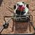 Excellent Craftsman 20"Self-Propelled Mower 5 thumbnail