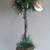 faux PINE sugared pear TOPIARY big size gold 1 thumbnail