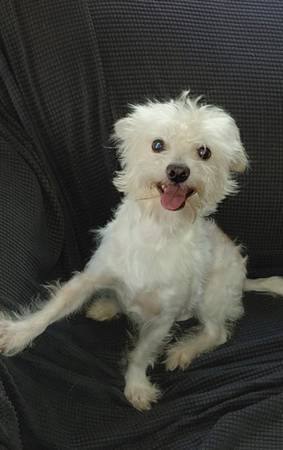 Multi-Pooh 5-6 (Visalia)63963774169219121