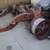 67-9 FIREBIRD, CAMARO FRONT SUB FRAME W ALL SUSPENSION 1 thumbnail