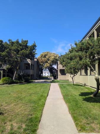 $2,995 / 2br - 950ft2 - Ático + Excelente Tarifa + Ubicación Ideal! (san bruno)63928540329731122