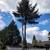 K RUSH TREE SERVICE AND LANDSCAPING LLC 16 thumbnail