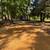 Stump grinding & tractor services 11 thumbnail