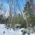 3.07 Acres Lot 7 Build your Northwoods getaway MLS 50200907 6 thumbnail
