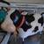 Adorable Cow Pottery 2 thumbnail