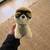2 Boo Dogs by GUND  Stuffed Animals - LIKE NEW 3 thumbnail