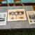 3 Signed Virgil Thrasher Mid-Century Lithographs. 12 thumbnail