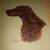 "A Portfolio of Purebred Dogs" 1947 color plates 6 thumbnail