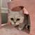 Russian white cat 7 thumbnail