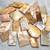 Natural coral fossil jewelries on hot sale!!! 4 thumbnail