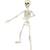 19" positionable plastic skeleton SUNSTAR Brand 2 thumbnail