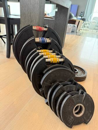 Rubberized Hampton Olympic Weight Set 1
