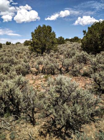 $4,500 / 21590ft2 - 1/2 Acre Taos County NM land (Tres Piedras)63659747025409122