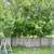 4 bedroom 2 bathroom home for rent in great school district 11 thumbnail