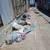 Looking for Cheap Junk Removal in Los Angeles? 17 thumbnail