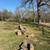 Certified Arborist looking for lodging ! 6 thumbnail
