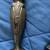 Vintage Harmony House AA+ Silver Plate Salt & Pepper Set 4 thumbnail